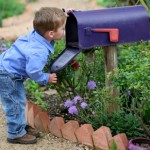 mailboxboy