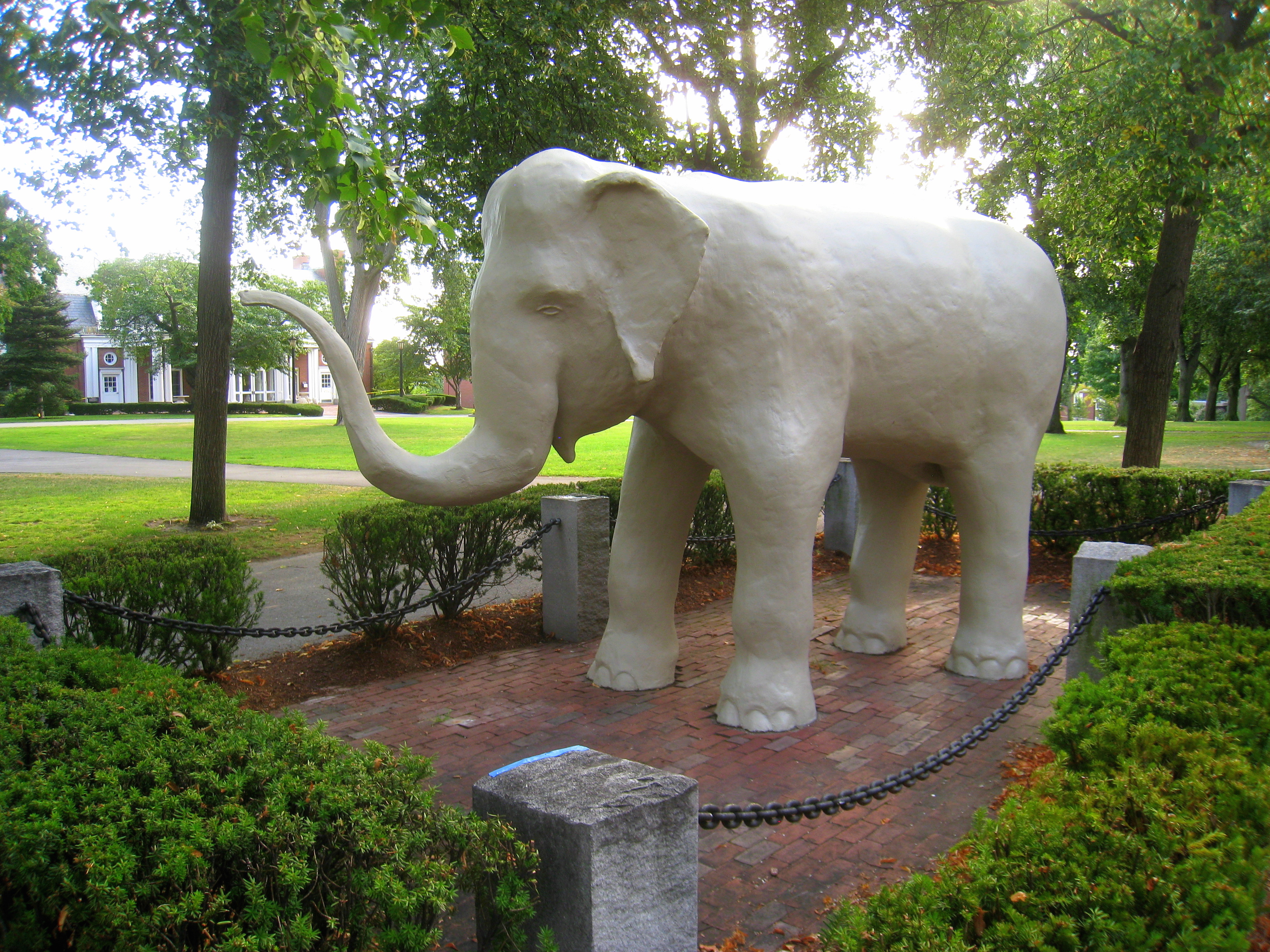 Why tufts essay examples image