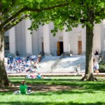 collegeundertrees